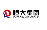 阳新恒大集团
